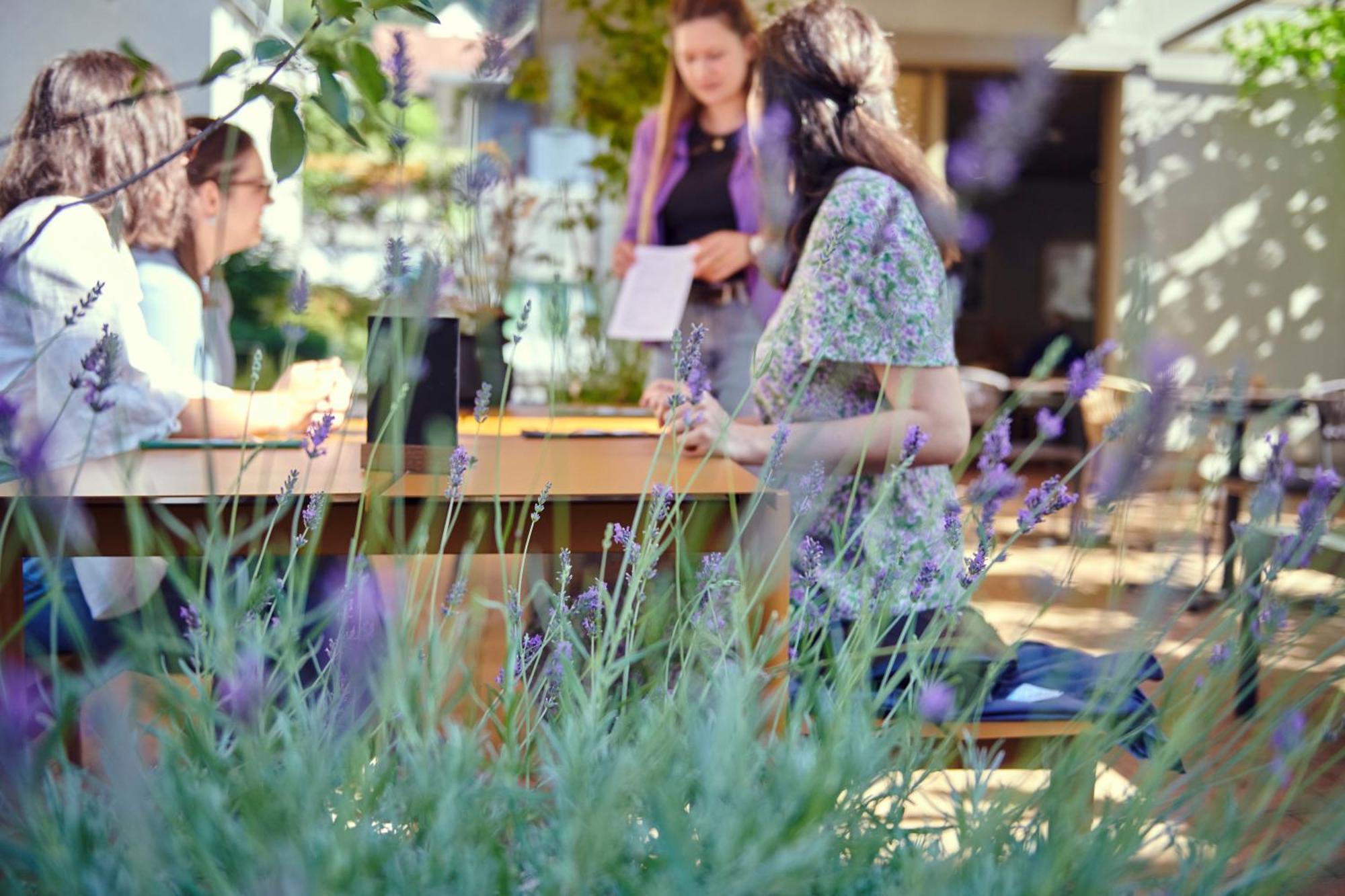 Hotel Balga Natur- Und Bikehotel Balgach エクステリア 写真
