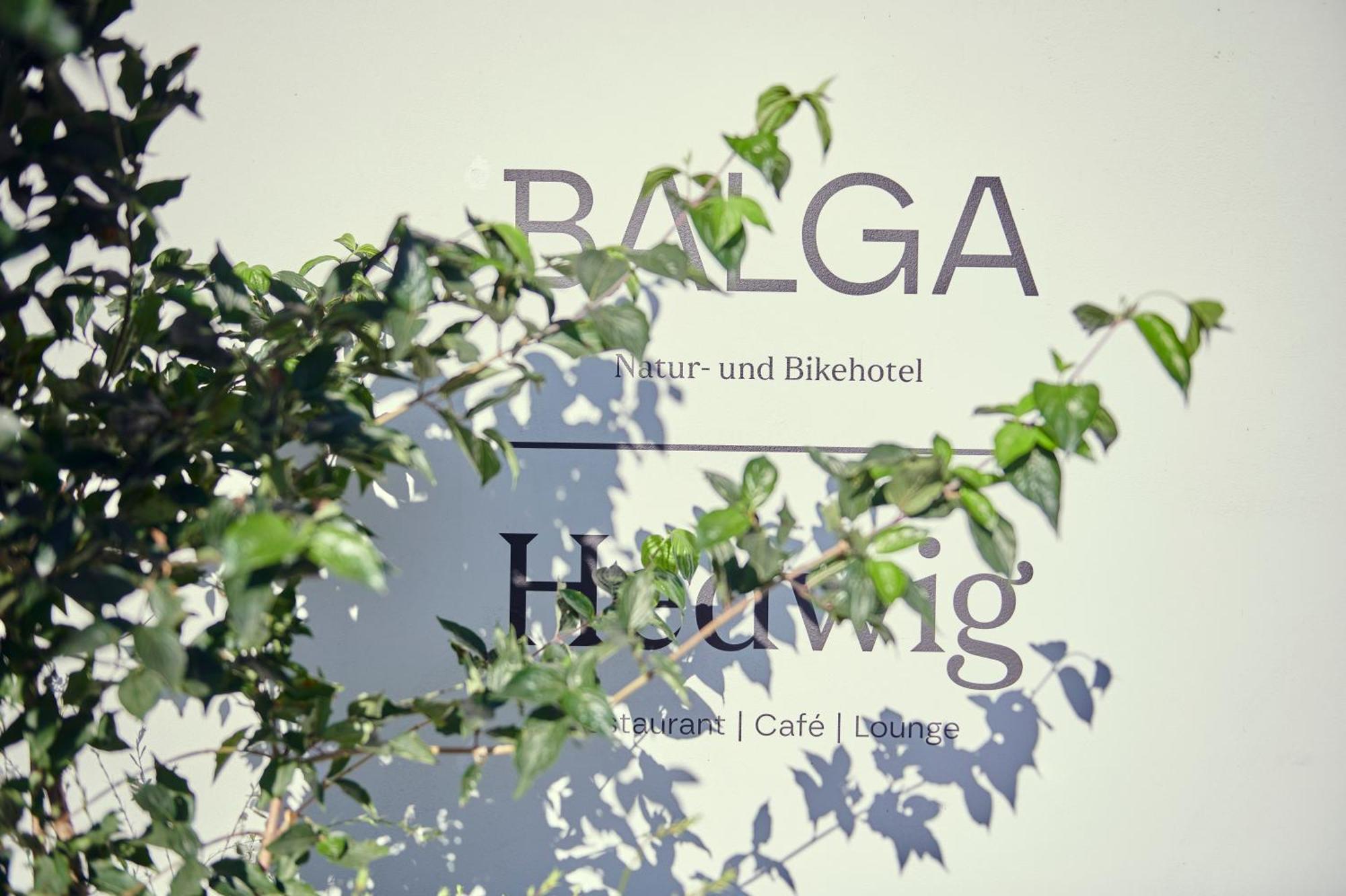 Hotel Balga Natur- Und Bikehotel Balgach エクステリア 写真