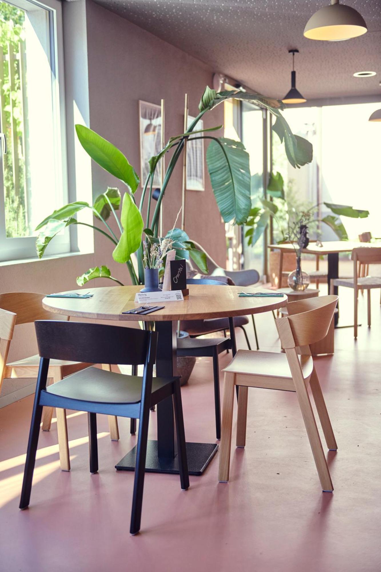 Hotel Balga Natur- Und Bikehotel Balgach エクステリア 写真